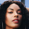 Sharam Diniz InstaFitBio
