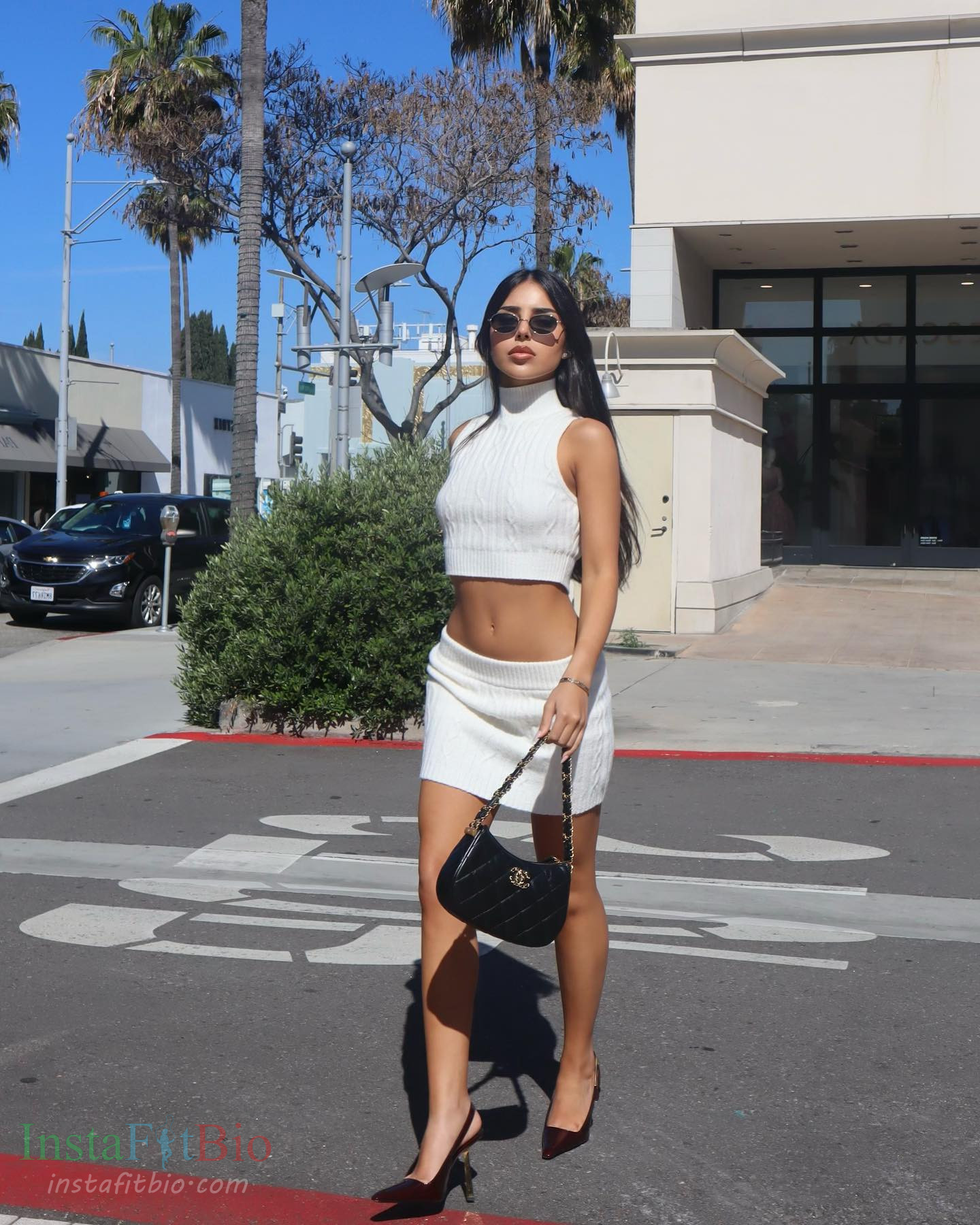 Aline Cohen Wallpapers InstaFitBio (5)