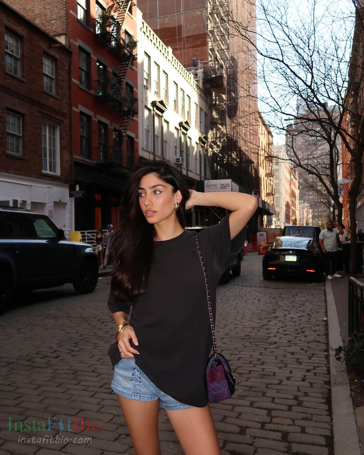 Liz Itach Wallpapers InstaFitBio (2)