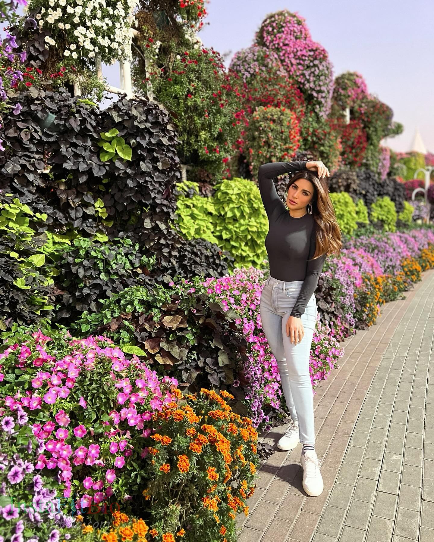 Shama Sikander Wallpapers InstaFitBio (3) Shama Sikander Wallpapers InstaFitBio (3)